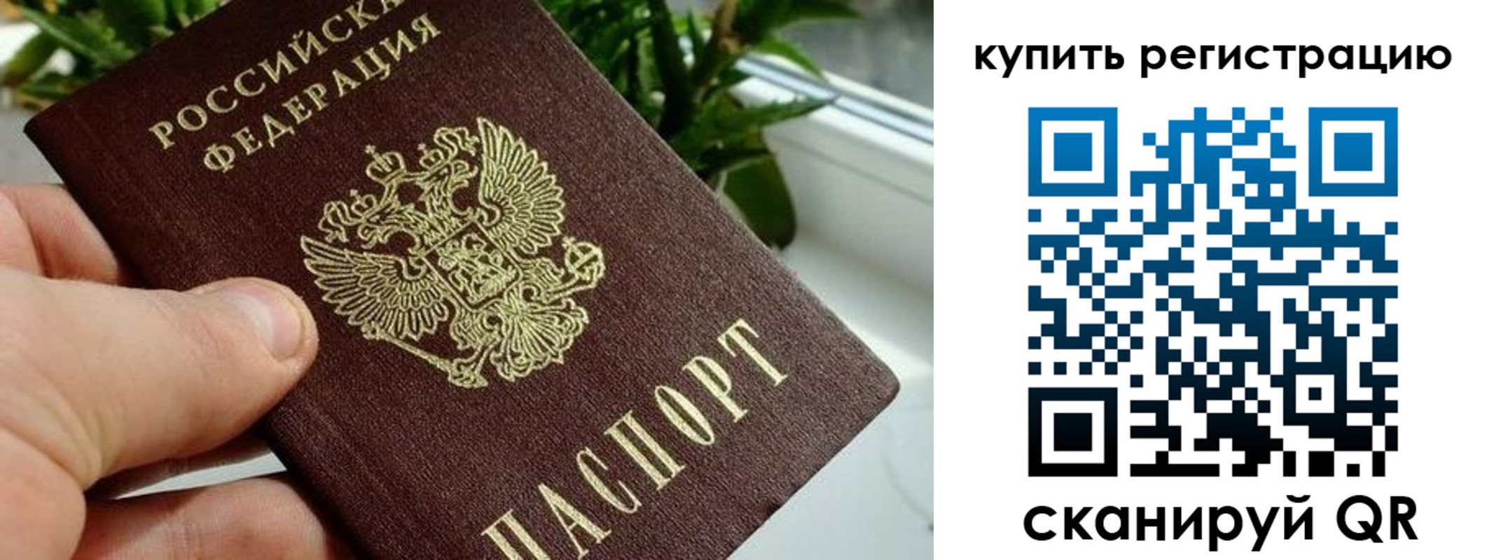 прописка гарантия в Морозовске